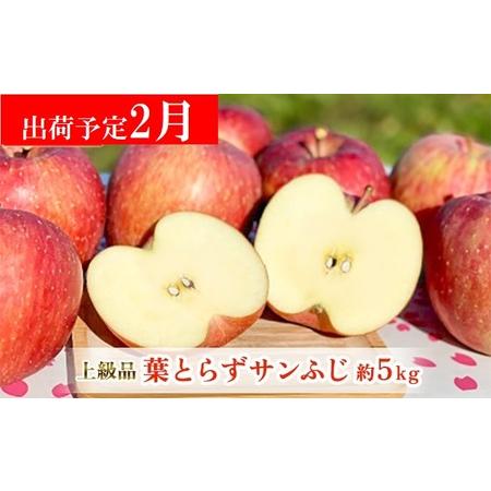 ふるさと納税 美品・上級品 当園自慢の逸品！！葉とらずサンふじ 約5kg 青森県弘前市