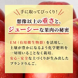 ふるさと納税 5月発送 贈答用 EM葉取らずふじ 約5kg（有袋栽培・CA貯蔵） 青森県弘前市