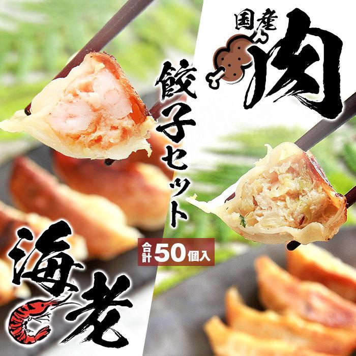 餃子 ぎょうざ ギョウザ ギョーザ gyouza 20個 50個 国産 国産豚肉 国産野菜 豚肉 海老餃子 海老 えび エビ 中華 食品 冷凍 冷凍餃子 美味しい ニンニクあり