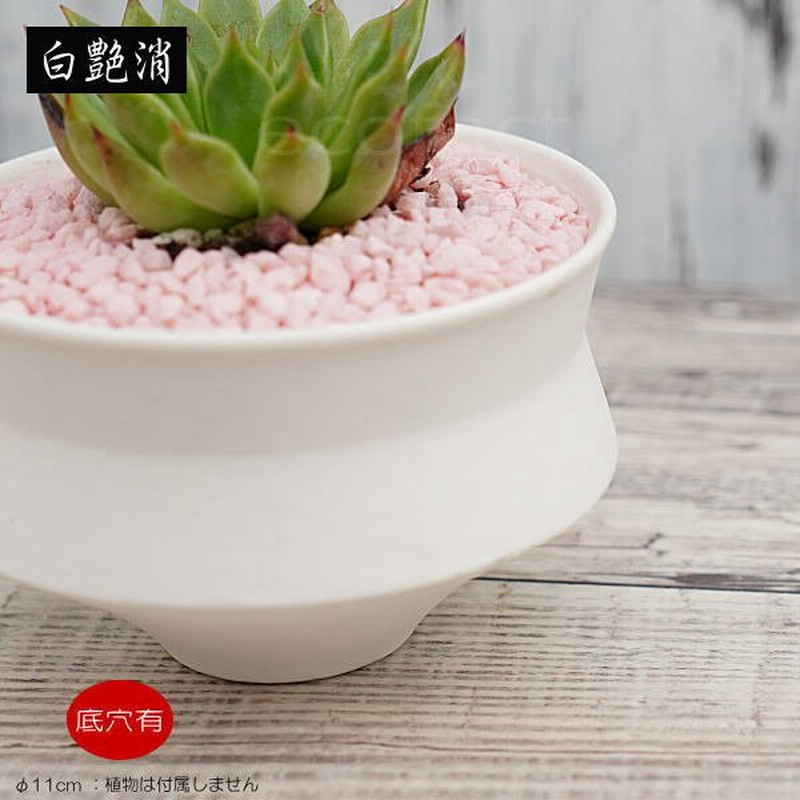陶器鉢 植木鉢 ミニポット 長月 白 ホワイト F11cm おしゃれ かわいい プランター 園芸鉢 観葉植物 通販 Lineポイント最大0 5 Get Lineショッピング