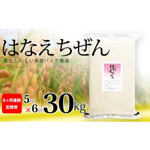 ふるさと納税 徳島県 海陽町 はなえちぜん 白米 5kg×6回 6ヶ月連続 定期便 30kg 真空パック ハナエチゼン 米 簡易梱包 エコ梱包