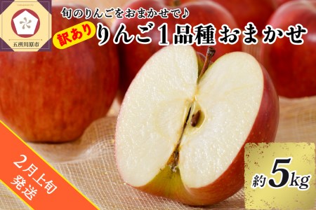   旬の美味しい りんご 約 5kg 青森 産 