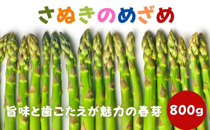 旨味と食感が◎！さぬきのめざめ（アスパラガス）春芽 約800g 期間限定