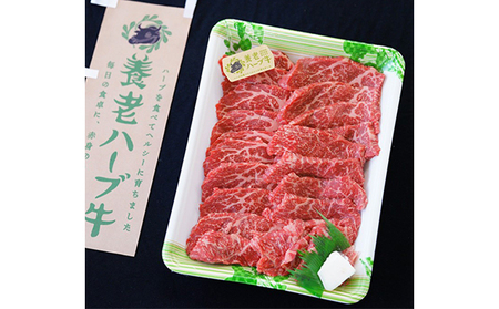 養老ハーブ牛　モモまたは肩　焼肉用　500g