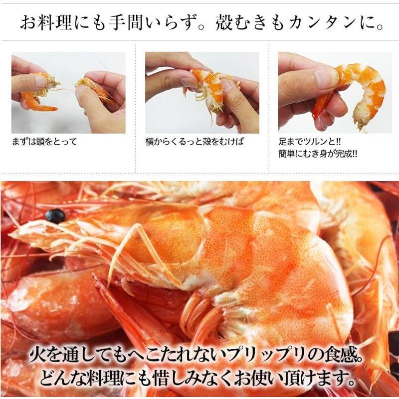 魚耕 海老フライ エビフライ 冷凍 特大 10尾