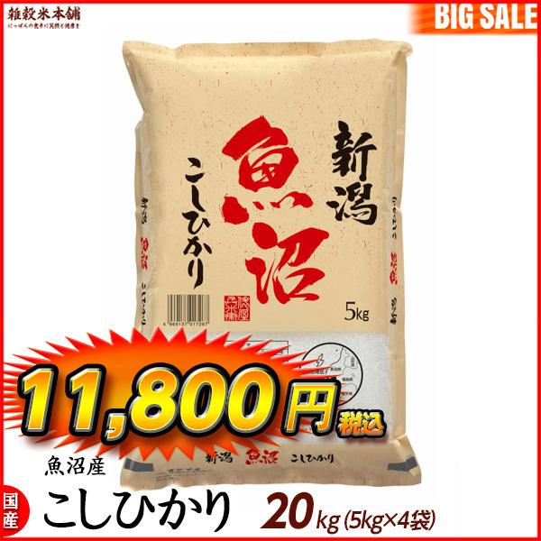 魚沼産 コシヒカリ 20kg(5kg×4袋) 精白米 国産 令和4年産 国産コシヒカリ100％ 送料無料 精米工場からの直送品 ＼セール／