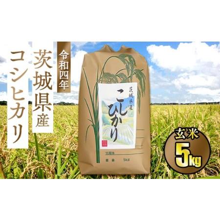 ふるさと納税 令和5年茨城県産コシヒカリ5kg 茨城県守谷市