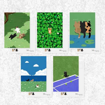 Simnyangs 貓咪插畫明信片 綠色套組 (5入)