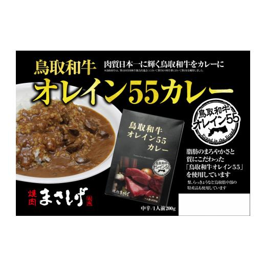 ふるさと納税 鳥取県 倉吉市 鳥取和牛オレイン55 カレー　10 個セット