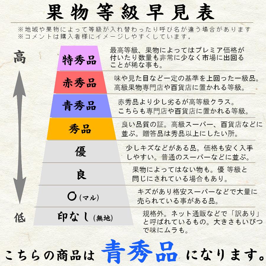 紅まどんな みかん 甘い 3kg 秀品 2023 御歳暮 食べ物 愛媛みかん ご当地 希少 ブランド 12月 旬 果物 高級 柑橘 通販 送料無料