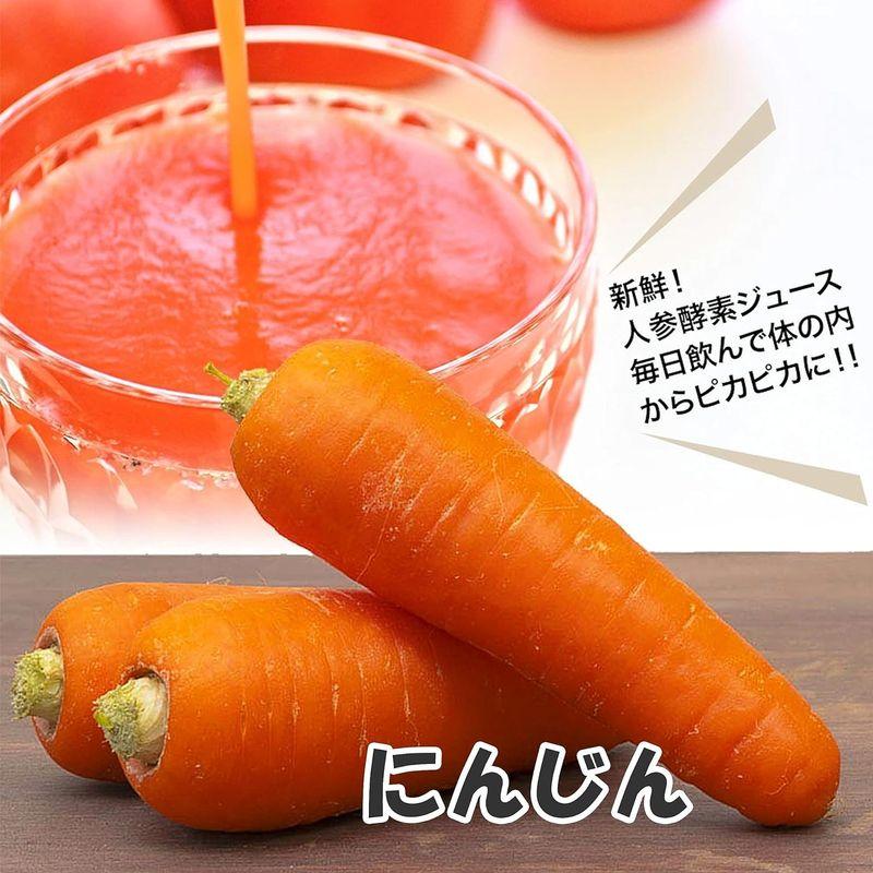 4種野菜セット（キャベツ・たまねぎ・じゃがいも・にんじん） きゃべつ 玉ねぎ ポテト 人参 定番 万能 おうちごはん おうち時間 ご家庭用