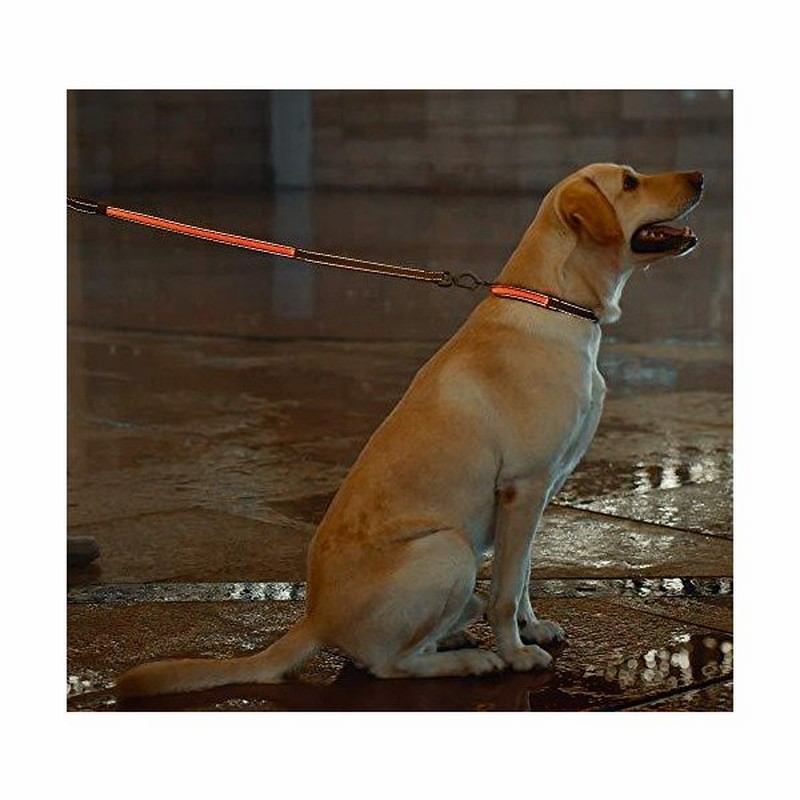 犬リード 充電式led光るリード 防水発光 犬の鎖 明るい犬の鎖 大型 中型 小型の犬に適しています 長さ152cm 通販 Lineポイント最大0 5 Get Lineショッピング