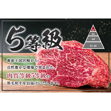 ふるさと納税 数量限定「5等級黒毛和牛モモスライス」計1kg 肉 牛 牛肉 国産 すき焼き しゃぶしゃぶ_CB74-23-02 宮崎県日南市