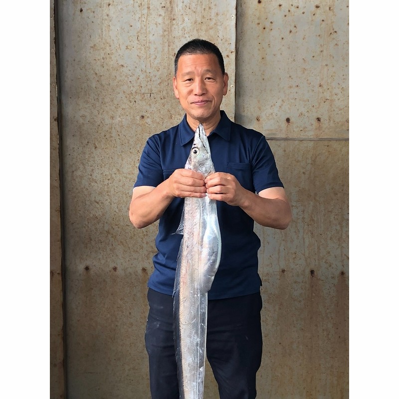 296 紀州 太刀魚 ドラゴンサイズ１匹 １ｋｇ 通販 Lineポイント最大1 0 Get Lineショッピング