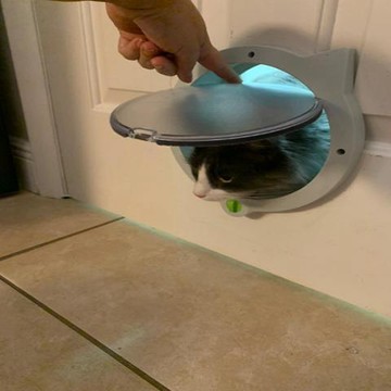 ✹寵物門✹宠物门洞自由出入门猫门洞猫咪小狗狗进出的安装玻璃门窗木门铁门