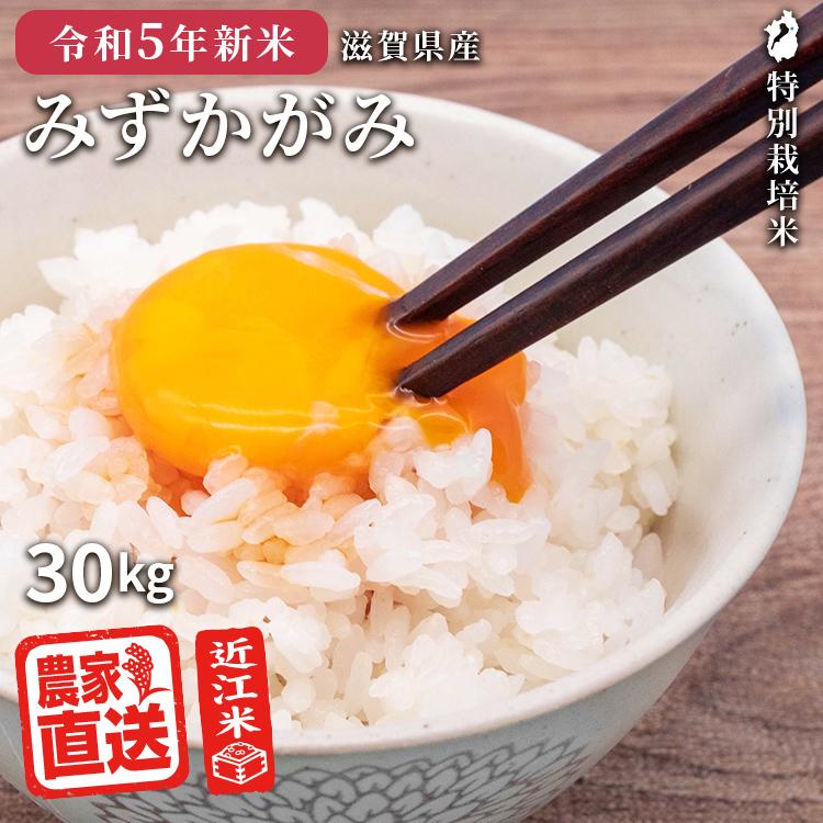 こだわりの近江米-玄米30kgの精米 - 食品