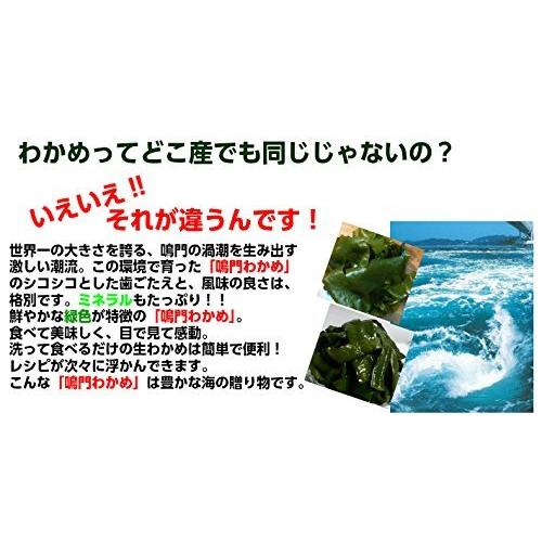 鳴門産生わかめ塩蔵タイプ (４５０ｇ×２袋)