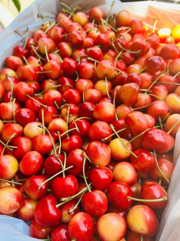 【帕查嬤嬤】????智利✨Skylar Rae✨ 草莓 白櫻桃 500g透明盒裝｜智利草莓白櫻桃