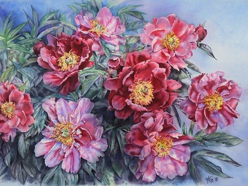 粉紅牡丹牆藝術原創水彩畫由藝術家 Irina Zhunaeva 創作