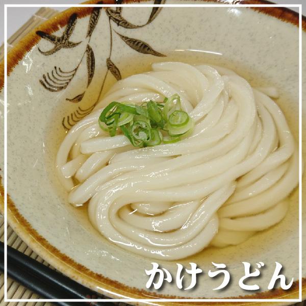 送料無料 半生 讃岐うどん 200g×2袋 つゆ付き ポスト投函 かけ ぶっかけ ざる しょうゆ 釜あげ 釜玉 香川県