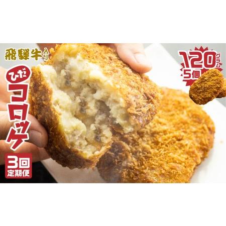 ふるさと納税 ひだコロッケ5個 3回定期便 冷凍食品 牛肉 コロッケ レンジ 自然解凍 冷凍コロッケ[Q1399] 岐阜県飛騨市