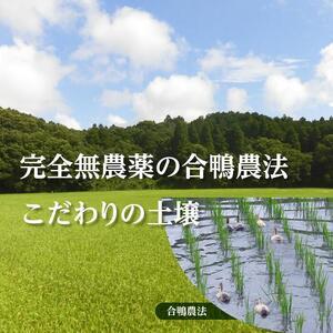 ふるさと納税 L-15 令和5年産アイガモと一緒に育てたお米「愛鴨米・白米」3kg×6回 茨城県行方市