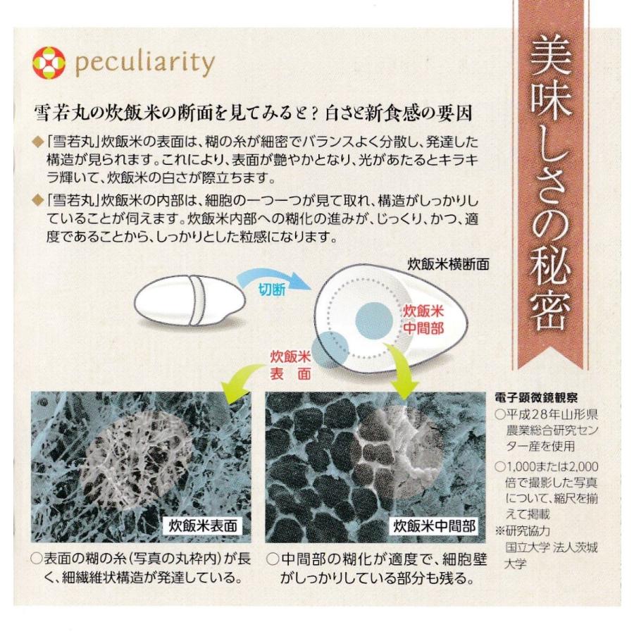 新米 お米 10kg 山形県産 雪若丸 玄米 5kg×2袋 令和5年産 精米無料 白米 5分付き 7分づき 熨斗無料 グルメ ギフト 紙袋 嬉しいプレゼント付き 送料無料