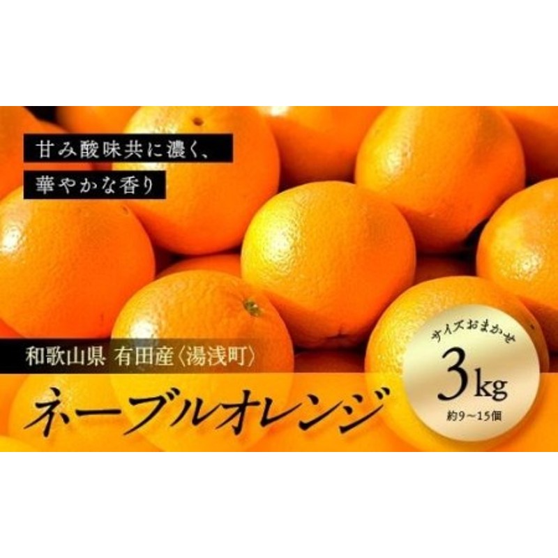 市場 ふるさと納税 湯浅町 有田産 9〜15個 ネーブル