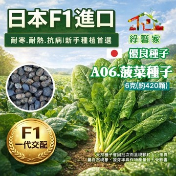 【綠藝家】A06.菠菜種子6克(約420顆)(有藥劑處理)(日本進口F1.淡綠色寬葉.葉炳粗長.產量高.生育快