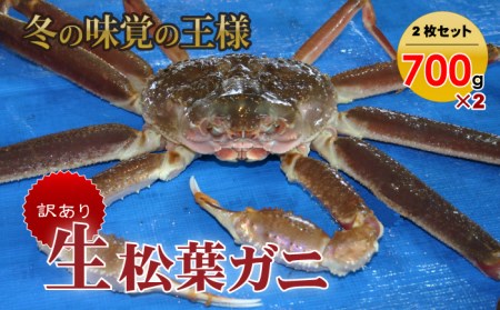 訳あり生松葉ガニ２枚セット かに カニ 蟹 生 新鮮 かに カニ 蟹 松葉ガニ 松葉がに かに カニ 蟹 生