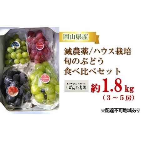 ふるさと納税 ぶどう 2024年 先行予約 旬のぶどう食べ比べセット 約1.8kg 3〜5房 減農薬／ハウス栽培 ブドウ 葡萄  岡山県産 国産 フルーツ 果物.. 岡山県玉野市