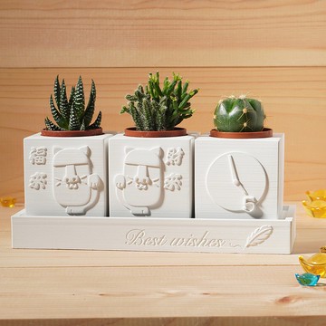 【生日禮物】Best Wishes | 招財摩艾 | 多肉植物水泥盆栽4件組