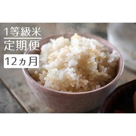 ふるさと納税 1粒からこだわる1等級米 にこまる 玄米(5kg×12回） 福岡県小郡市