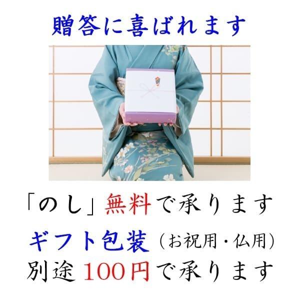 新米入荷 龍の瞳 4kg （2kg×2袋） 令和5年産米 岐阜県産 白米  送料無料 一部地域除く