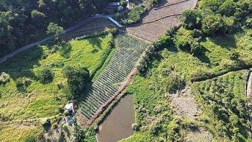 南投國姓鄉｜國姓路旁農地｜1580坪｜售800萬｜南投縣國姓鄉北港溪段