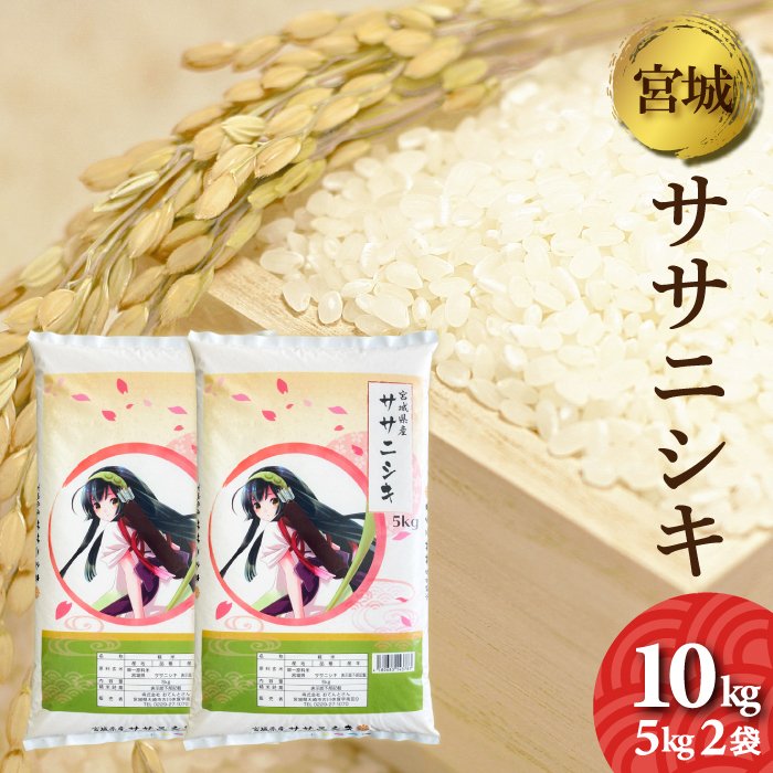 新米　お米　ササニシキ　10kg（5kg2袋）　宮城県産　令和5年産　精白米　10キロ　小分け　精米　白米