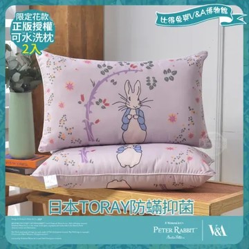 【PETER RABBIT 比得兔】比得兔與V&A博物館 日本TORAY防蹣抑菌可水洗枕-奇幻花園(2入/台灣製/抗菌枕