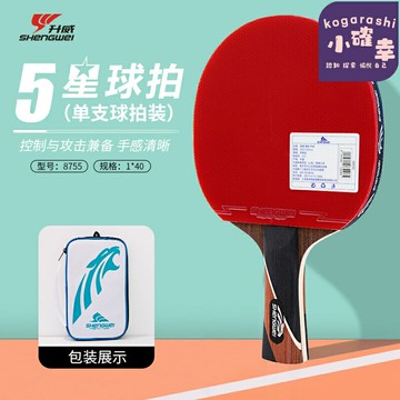 【專業入門套裝】乒乓球拍 橫拍 直拍 成拍 初學者球拍 兒童球拍 比賽用拍 雙面反膠 成品拍 碳素底板 快攻弧圈型 訓練比賽通用