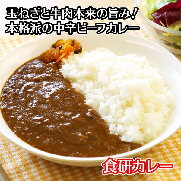 カレー レトルト 食研カレー セット 4食 お取り寄せ メール便 セール ポイント消化 送料無料 食品