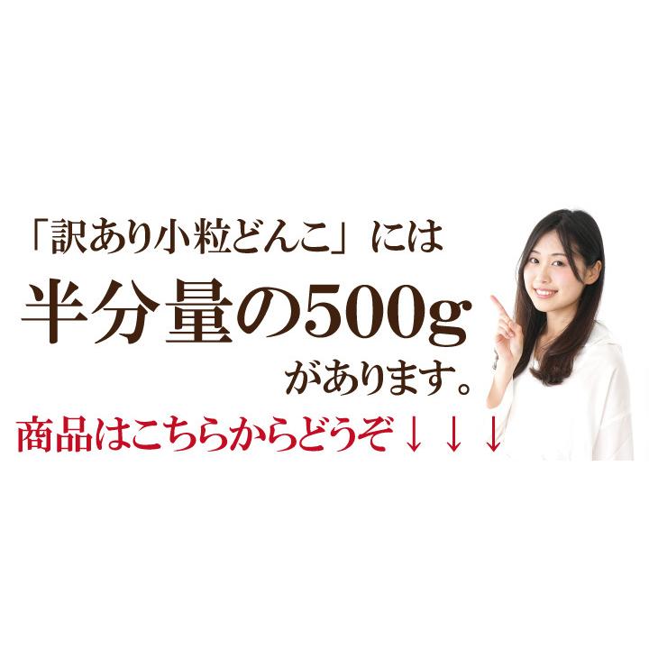 国内産訳あり小粒椎茸500ｇ×2　干し椎茸 国産 訳あり どんこ ワレ・カケあり 送料無料 最安値挑戦中