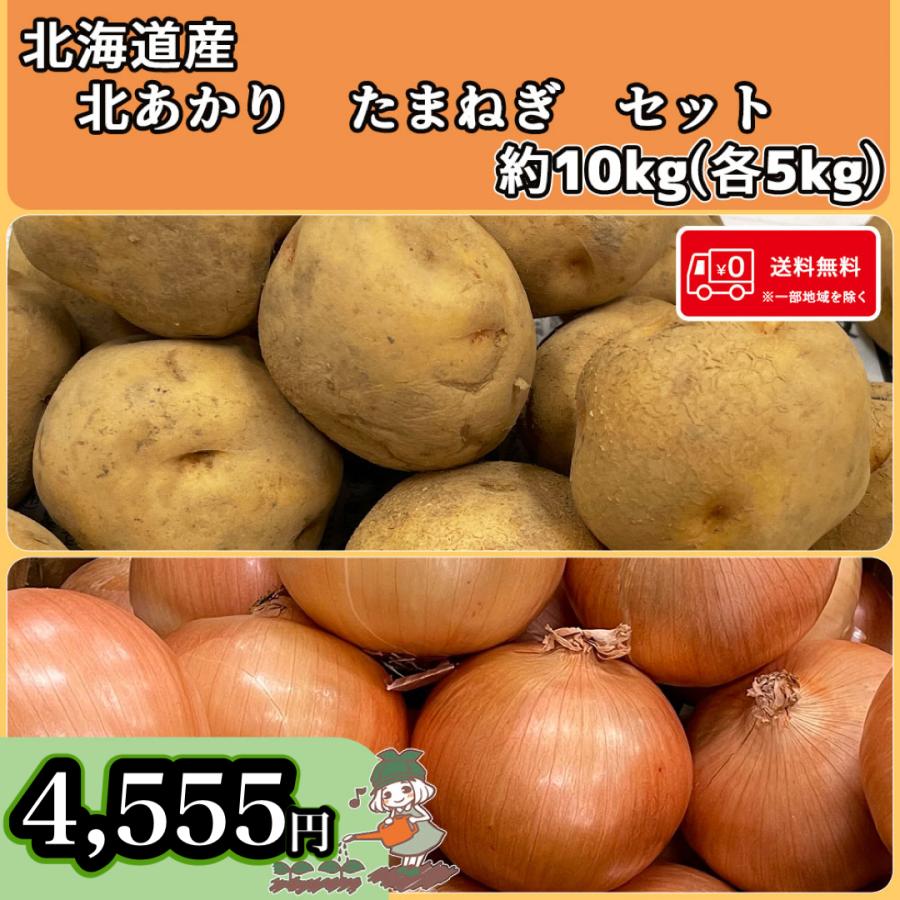 送料無料 常備野菜セット 北海道産 北あかり たまねぎ 10kg(各5kg) 北海道の味覚詰め合わせ 新じゃが