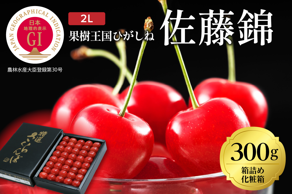 2024年産 GI「東根さくらんぼ」佐藤錦300g化粧箱詰め(2L) 東根農産センター提供　hi027-082