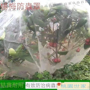 【宜家良品百貨】免運 防鳥網 防蟲網  防蟲網大棚果樹果園防鳥紗窗聚乙烯網菜果園防冰雹網罩子定制加寬