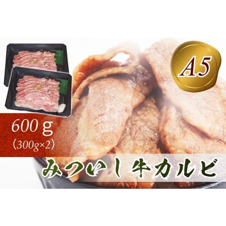 ふるさと納税 北海道産 黒毛和牛 みついし牛 A5 カルビ 計 600g 300g × 北海道新ひだか町