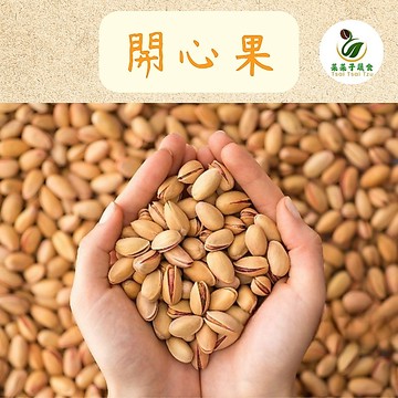 【菜菜子蔬食】 開心果 250g  自然開口 配茶點心  網紅零食 休閑零食 辦公室下午茶