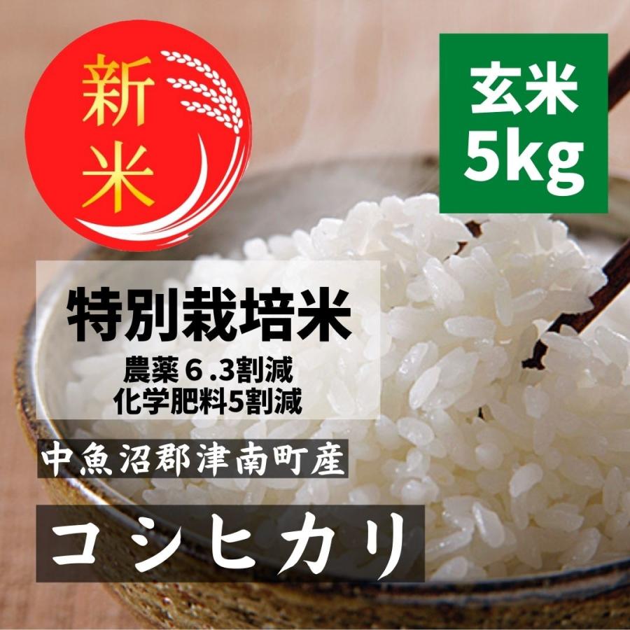 令和5年新米 コシヒカリ 新潟県 魚沼産 減農薬 玄米5kg 特別栽培米  中魚沼郡 津南町