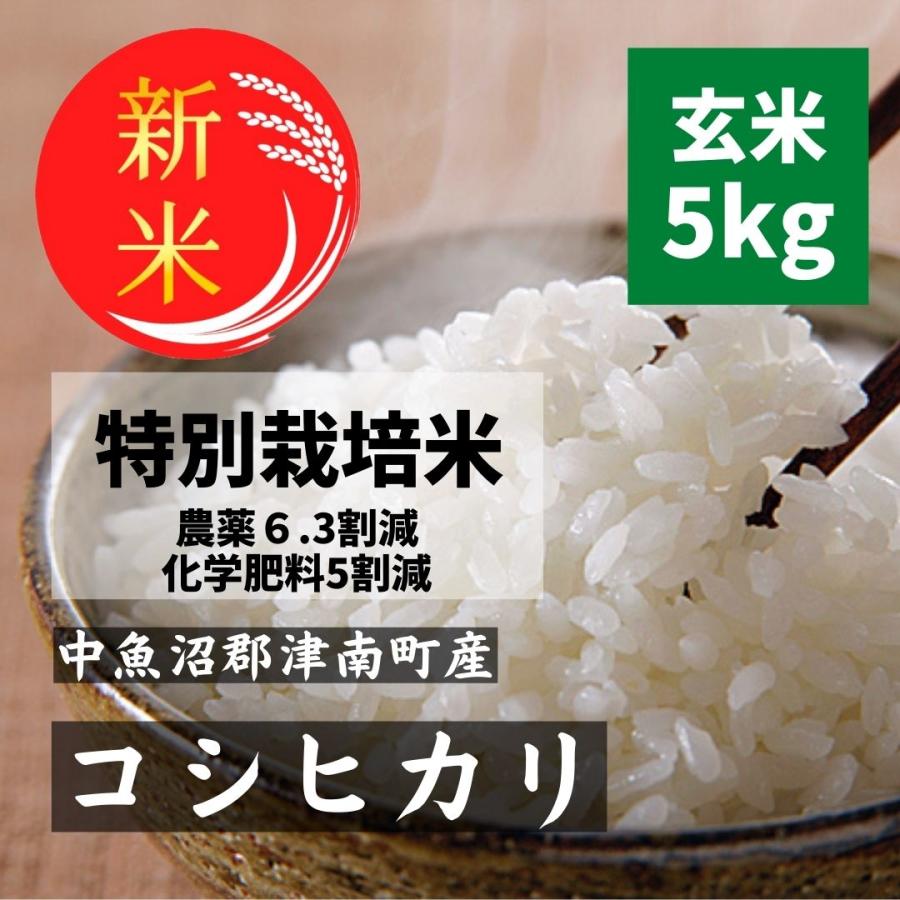 令和5年新米 コシヒカリ 新潟県 魚沼産 減農薬 玄米5kg 特別栽培米 中