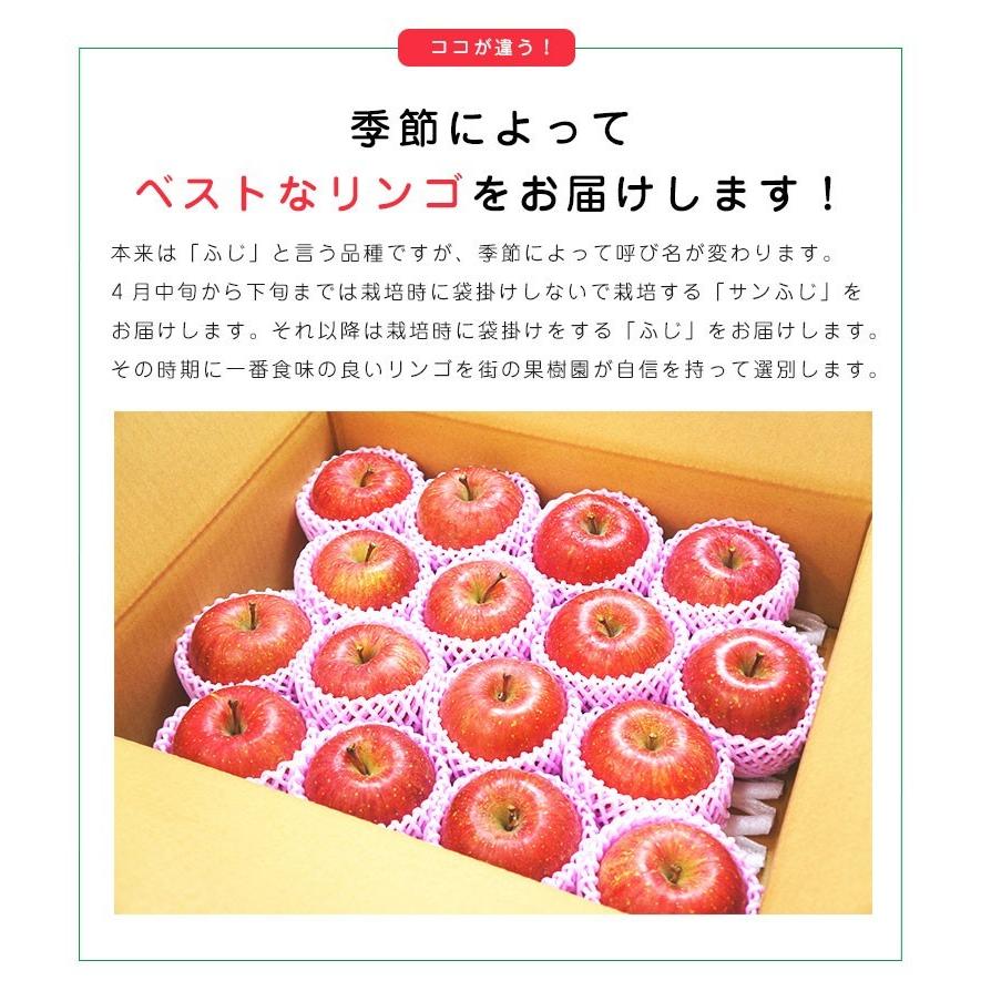 送料無料 青森県産 弘前 高糖度 サンふじ 10-11玉 約3kg サンふじ 高糖度 サンふじ  サンふじりんご リンゴ 青森産 りんご 林檎