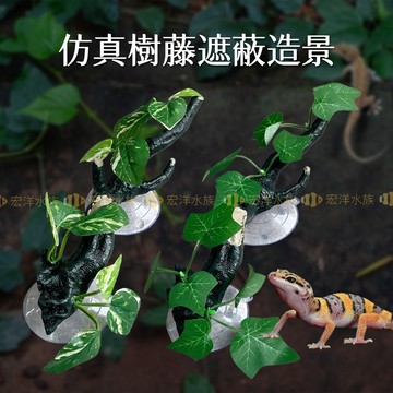 宏洋水族【爬寵-水族兩用 樹藤遮蔽造景】仿真藤蔓裝飾 爬寵遮蔽物 魚缸造景 水族箱裝飾 雨林造景裝飾 角蛙 蠍子 守宮