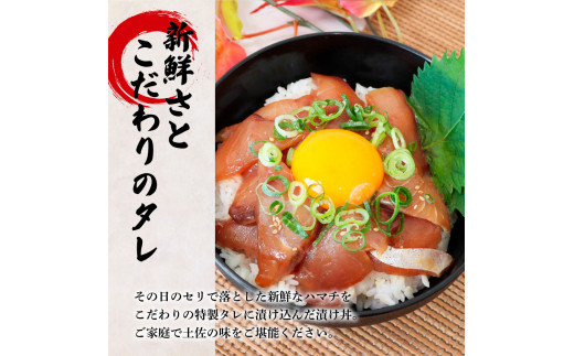 これが魚屋の漬け丼だ！～ハマチ～ 《訳あり》 ８０ｇ×１０P ハマチ はまち 漬け丼 漬け どんぶり 丼 10パック 海鮮 魚 真空パック 個食 個包装 冷凍 配送 訳あり 規格外 不揃い